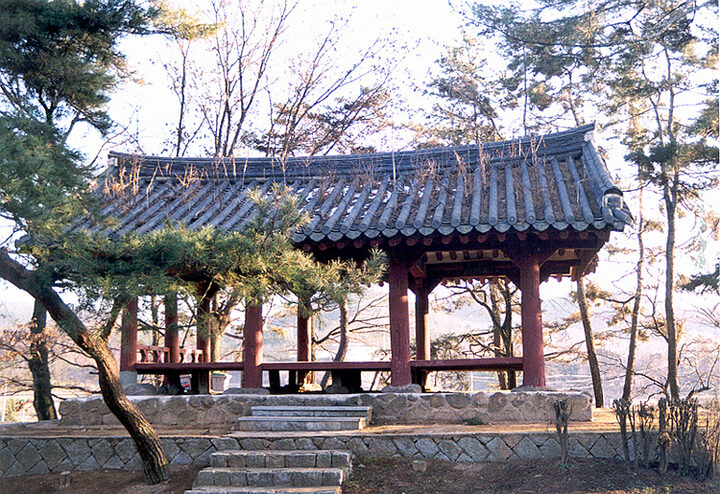 양과동정