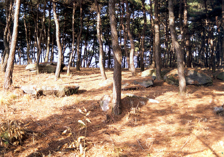 삼거동고인돌군