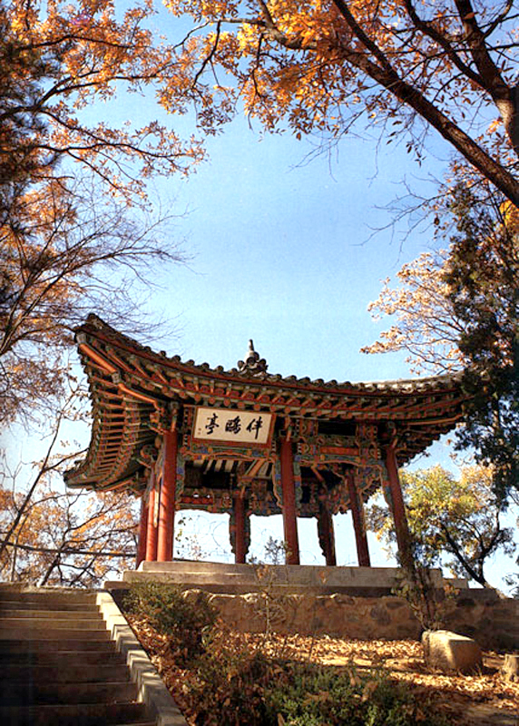 반구정
