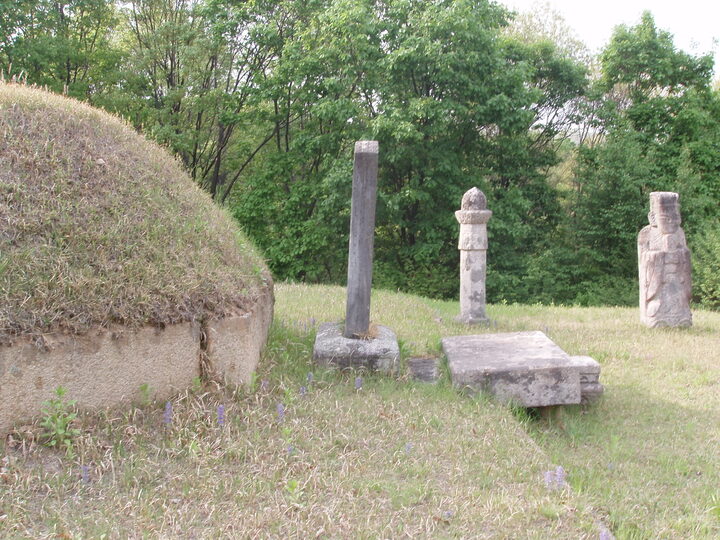 풍산군(豊山君) 이종린(李宗麟, 1538~1611))은 조선 중종의 손자이며 덕양군 이기(李岐)의 장남이다. 1581년 덕양군이 돌아가자 관례에 따라 정경(正卿)의 품계에 오르고 임진왜란 때에는 어가(御駕)를 호종하였다. 소덕대부로서 종친부의 일을 관장하고 사옹원제조와 오위도총부 도총관도 겸임하였다. 이 묘역은 풍산군과 군부인(郡夫人) 박씨의 합장묘이다. 봉분의 호석(護石)은 큰 받침돌을 바닥에 깔고 그 위에 높이 50cm, 평균길이 223cm의 병풍석 8폭을 둘러 조성한 것이 특징적이다. 석물은 묘표(墓表), 상석(床石), 혼유석(魂遊石), 향로석(香爐石) 각 1기 및 문인석 1쌍, 망주석(望柱石) 1쌍이 있다.