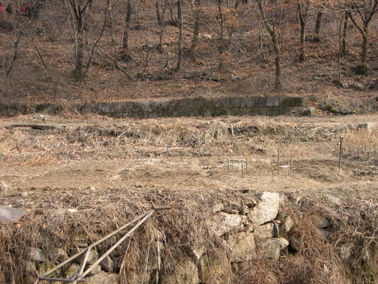 서암사지(근접)