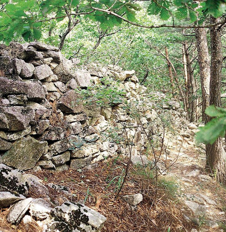 금강산성