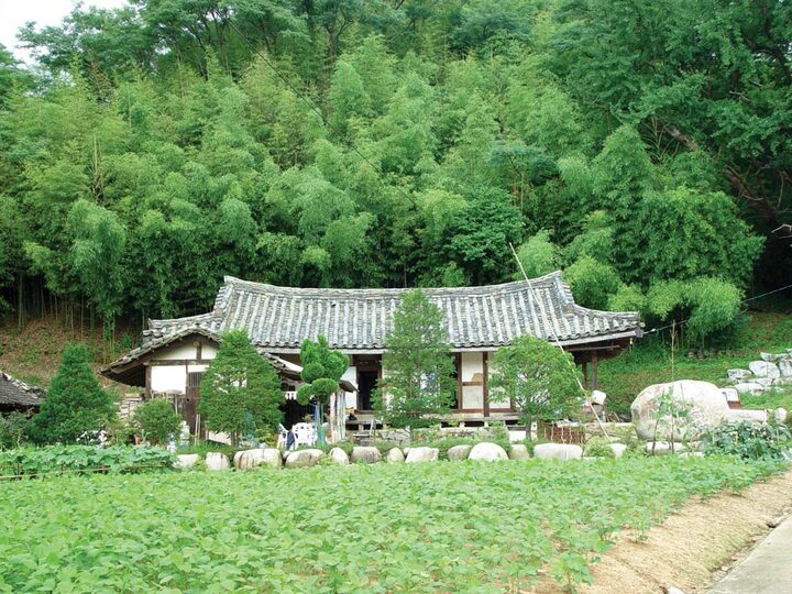 함대식가옥 전경