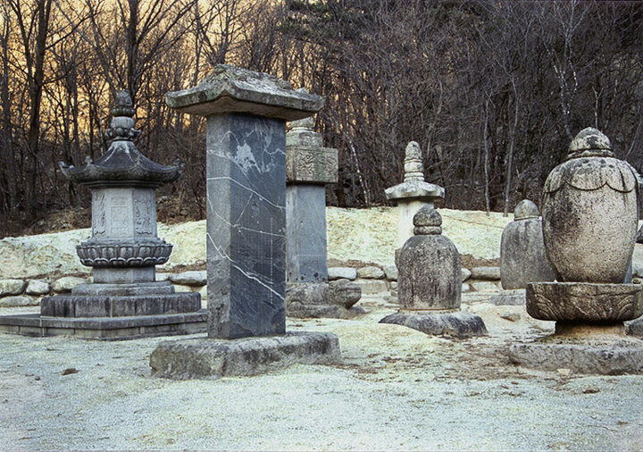 부도군