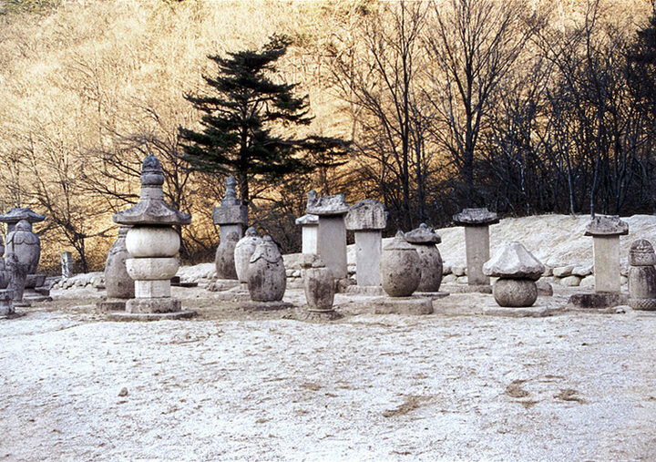 부도군우측면