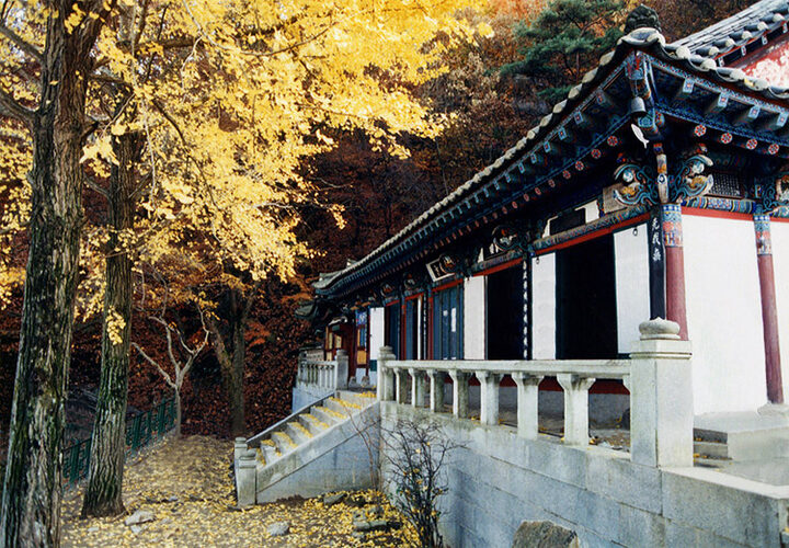 고란사