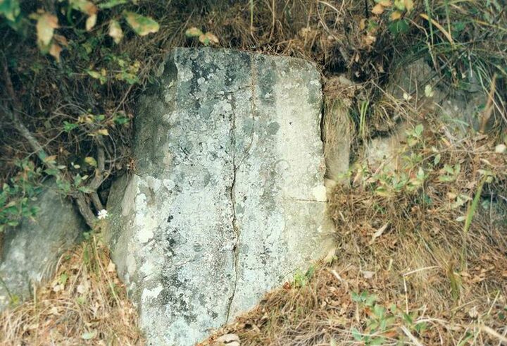가교비