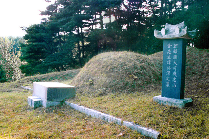 김복한묘