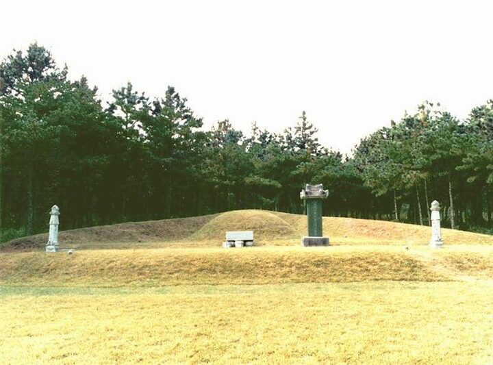 김정희의묘