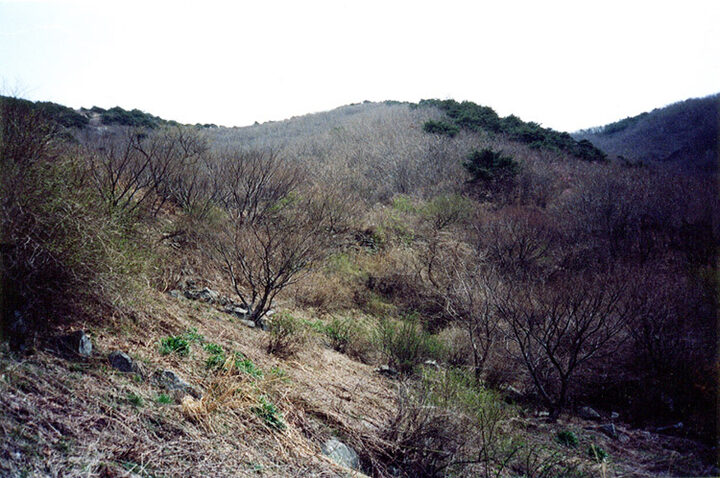 백암사지