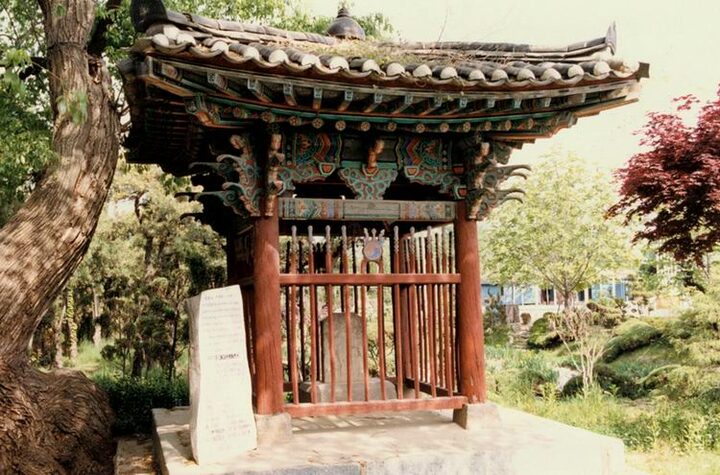신정비