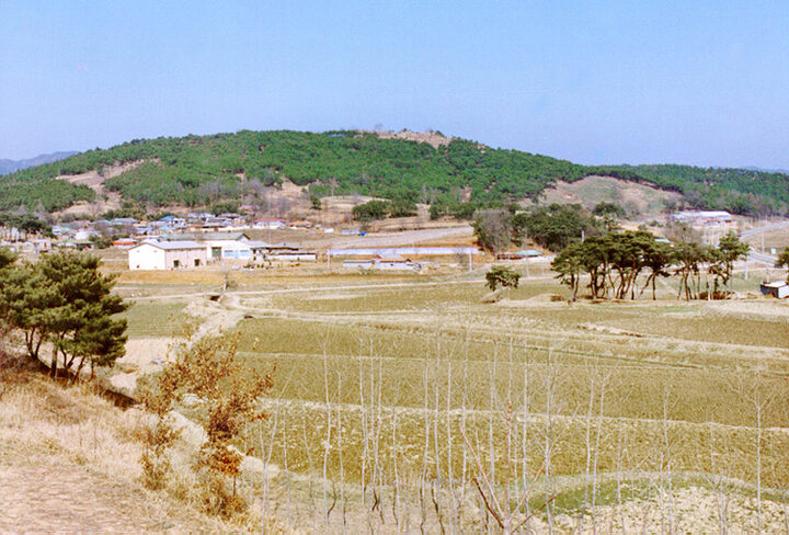외성산성