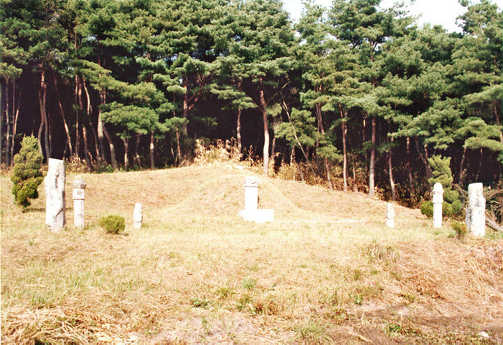 임득의장군묘
