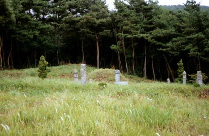 홍성임득의장군묘전경