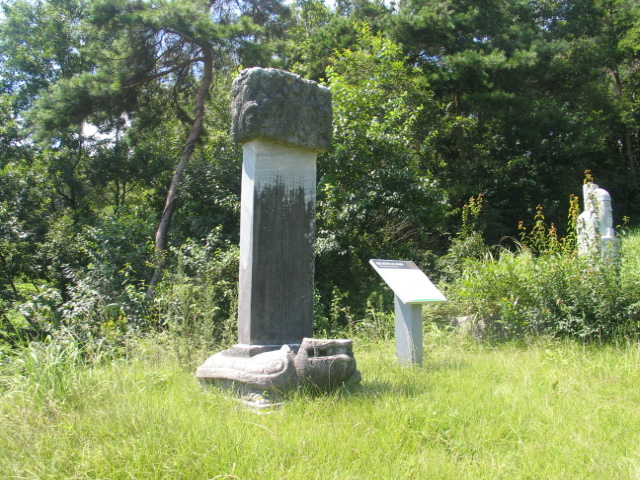 김임신도비