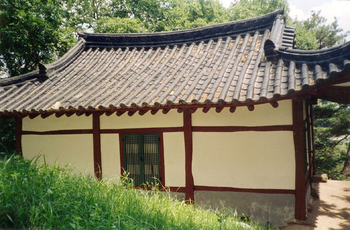 후면