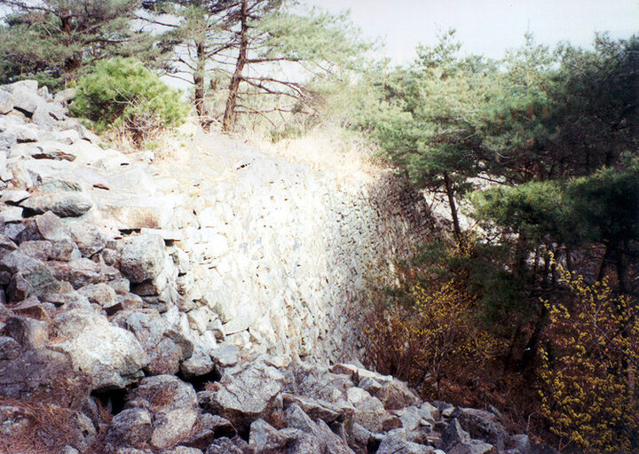 비홍산성