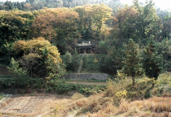 남희정(원경)