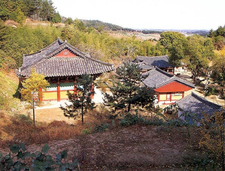 심향사