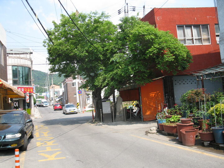 영광 도동리 석장승(전경) 20120521 유성원