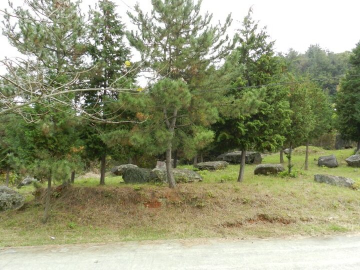 전경