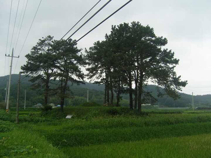 전경