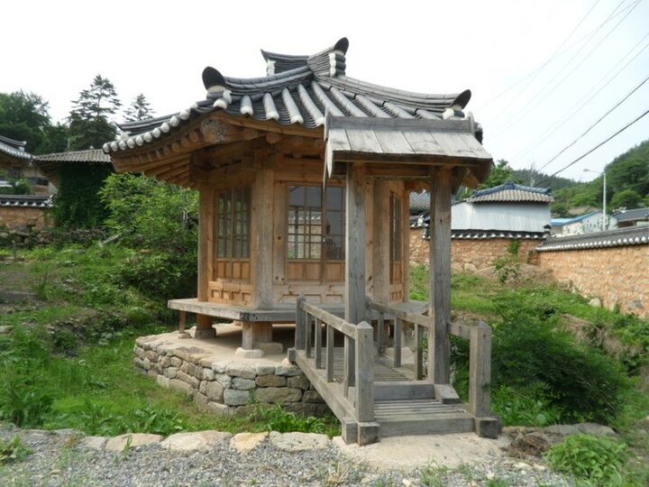 육모정