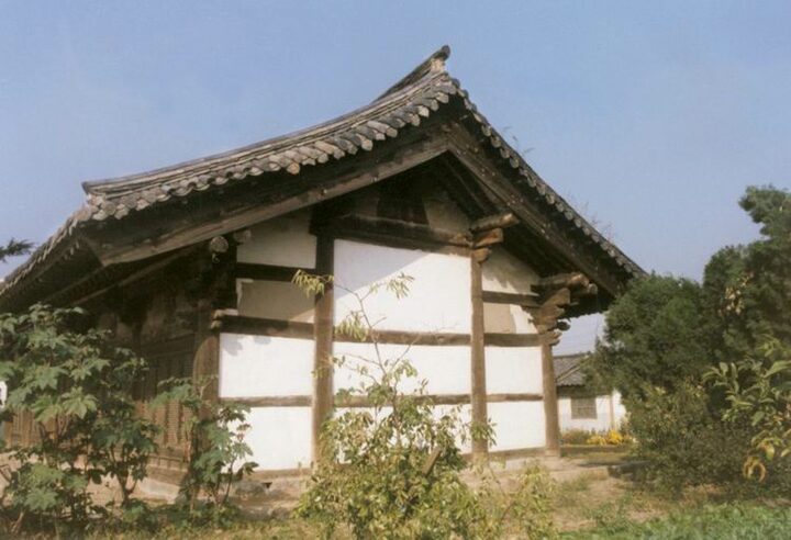 동경관