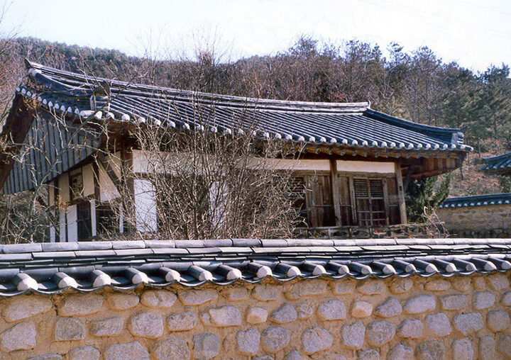 대야정