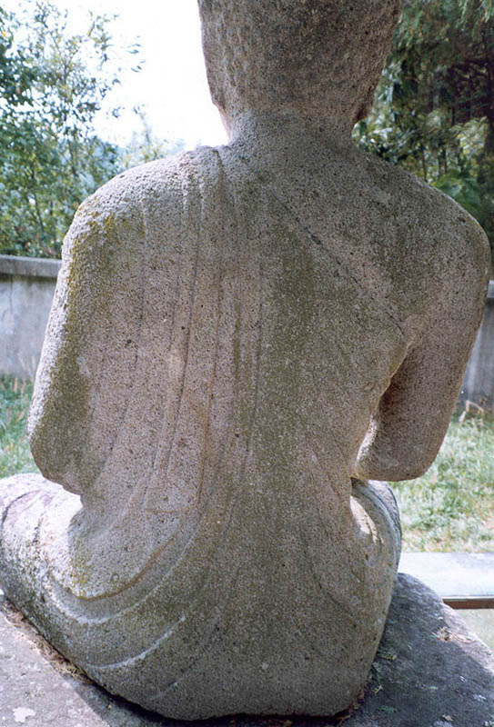 후면