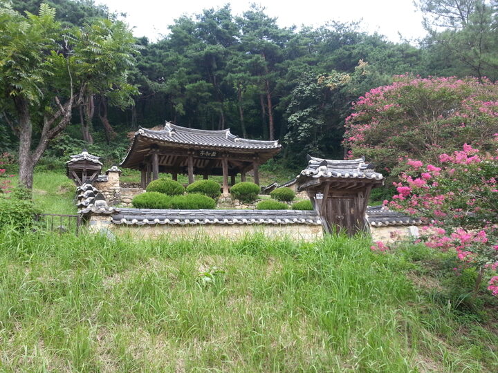 벽송정(고령군청)