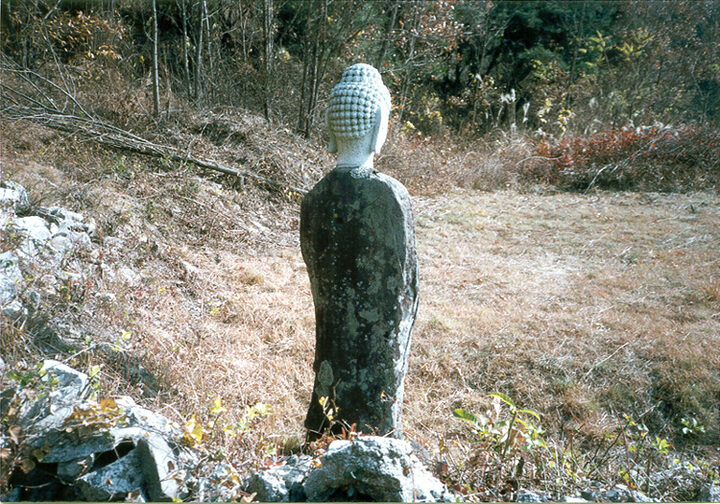 와룡리석불후면