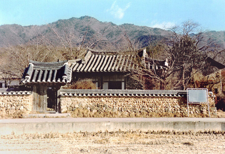 정면