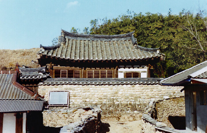 정면근경