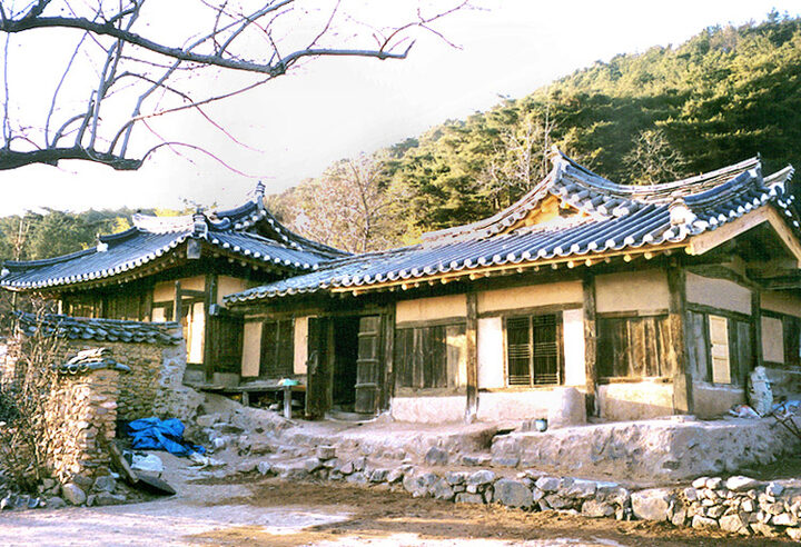 지족당