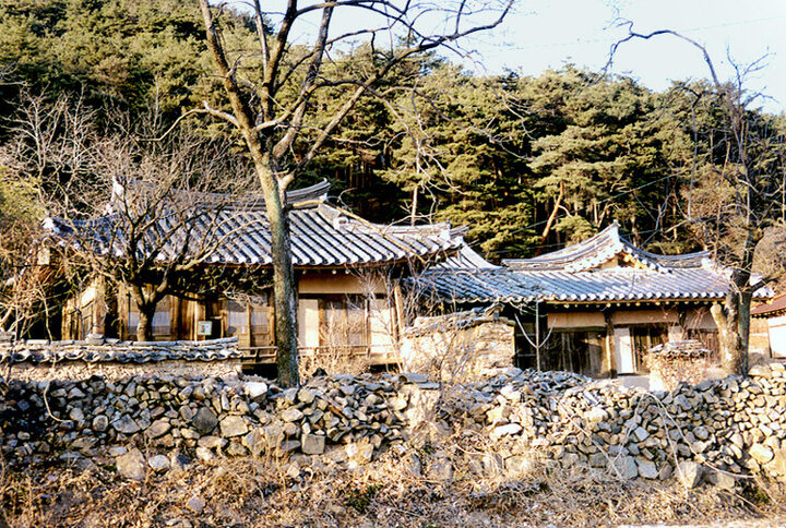 지족당
