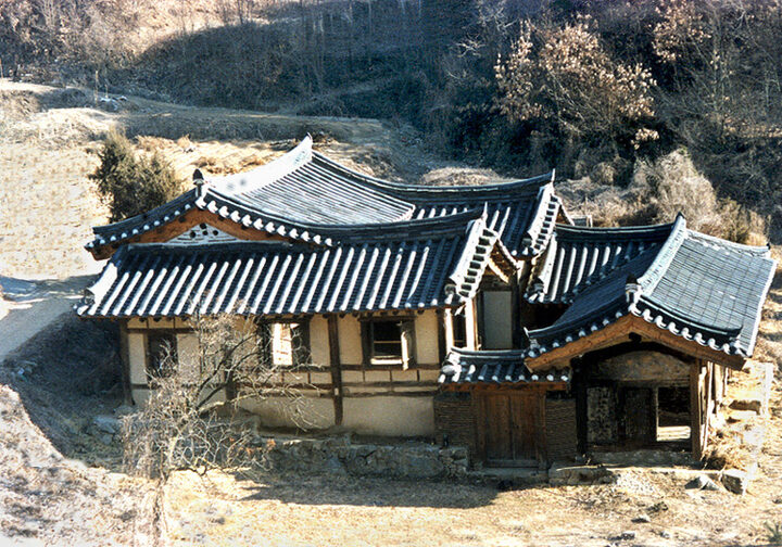 좌측원경