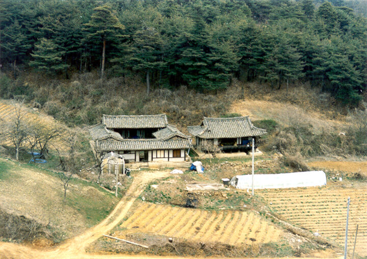 화재(전경)