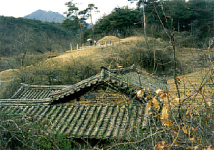화재(우익사배면)