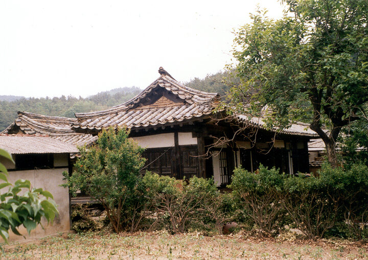 영덕괴시리영감댁전경