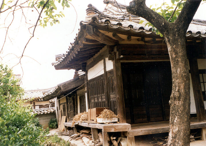 정면현황