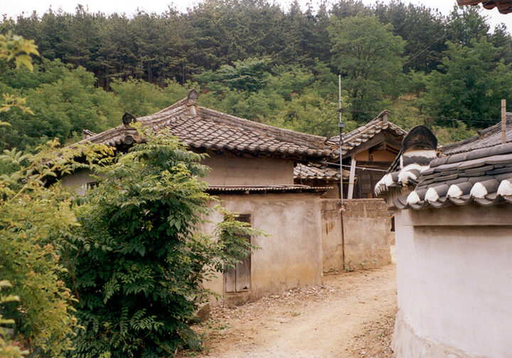 영덕괴시리사곡댁전경