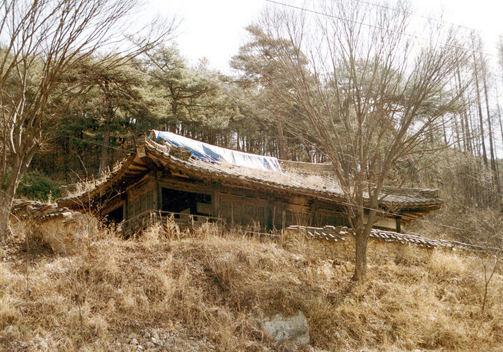 측면
