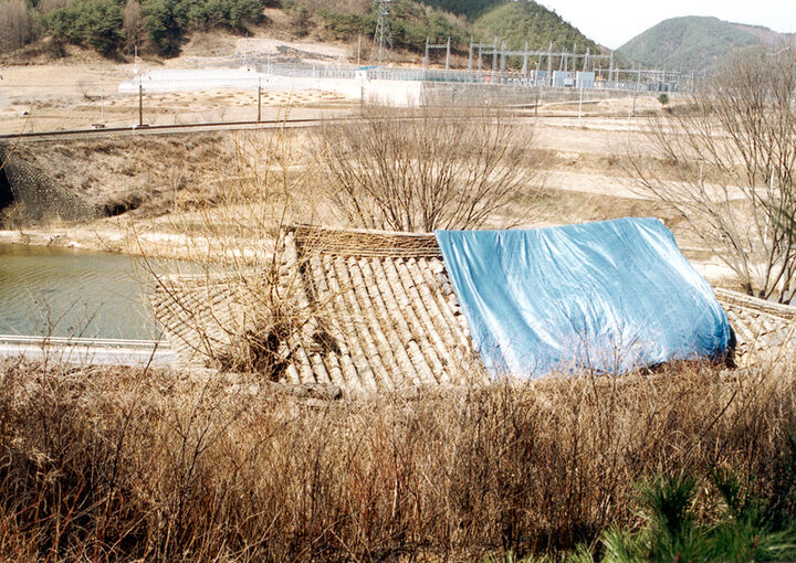 후면