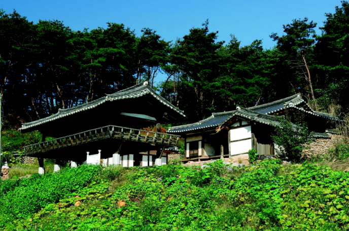 함포재사