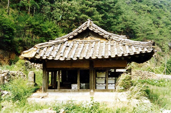 영덕괴시리스므나골재사(좌측면)
