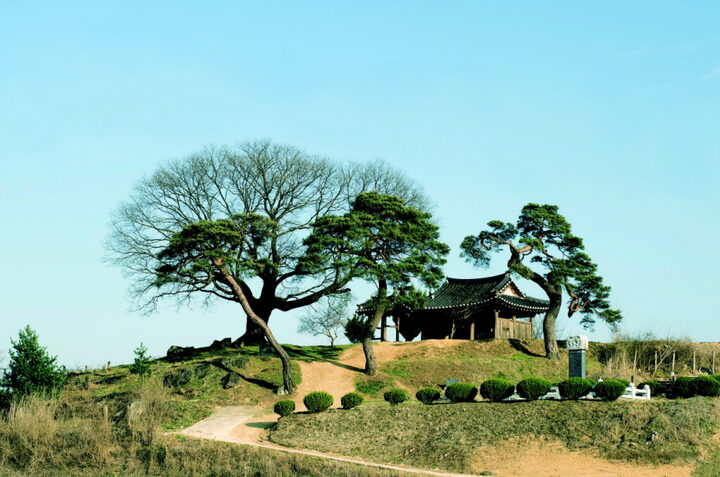 예천삼수정 1