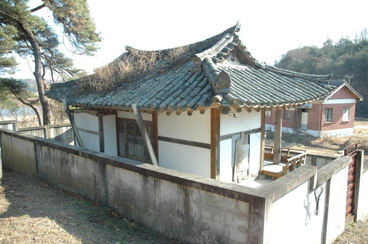 배면