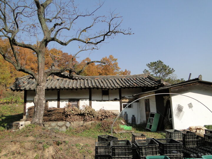 좌측면