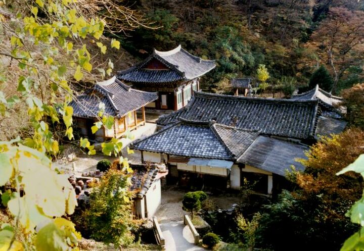 전경